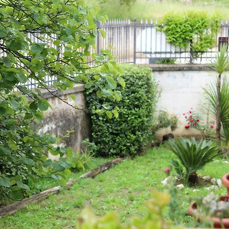 Libro Di Sogni - Letterario Bed & Breakfast